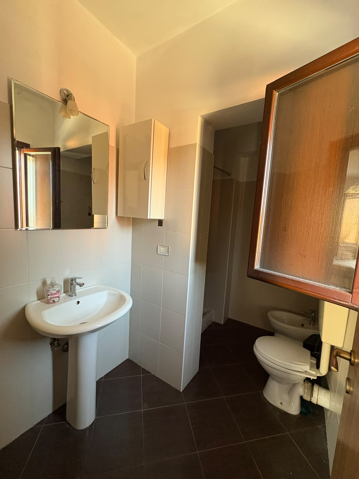Bagno con doccia del bilocale in affitto a Santa Croce sull'Arno.
